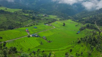 कृषि तथा पशुुपन्छी बीमामा अनुदान घट्यो