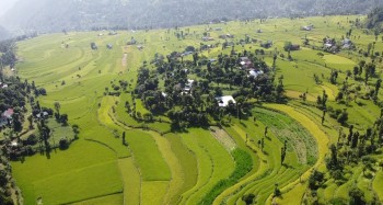 ओखलढुंगामा बाली बीमामा किसानको शून्य आकर्षण